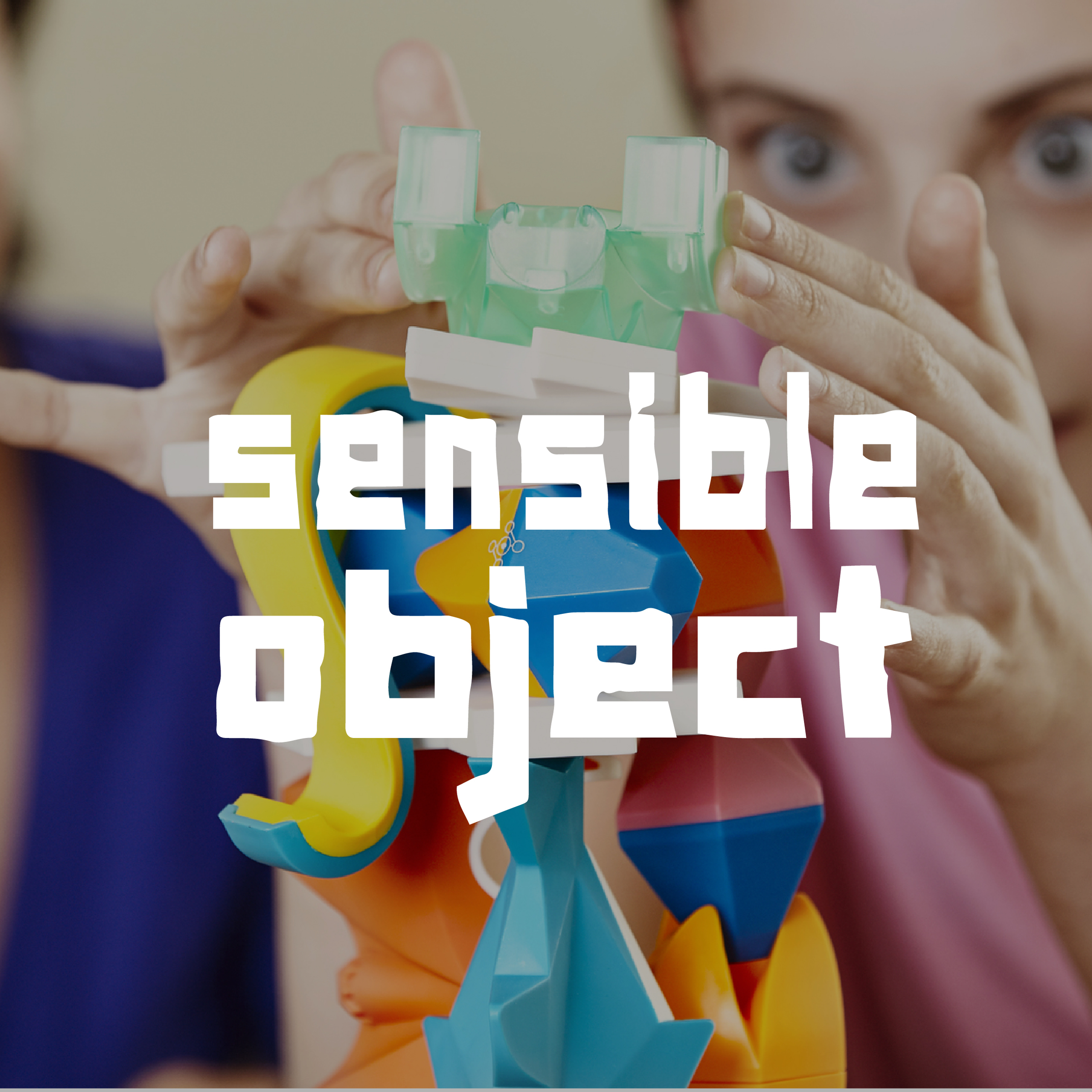 Sensible Object