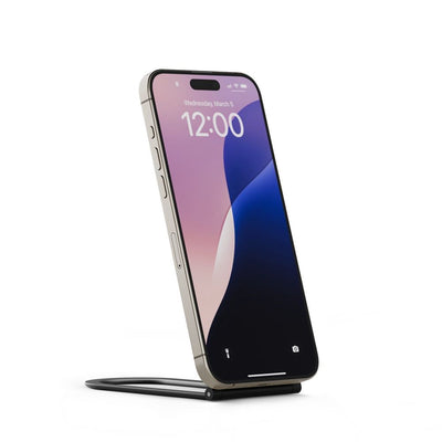 Twelve South Curve Nano Slate